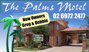 The Palms Motel - Surfers Gold Coast